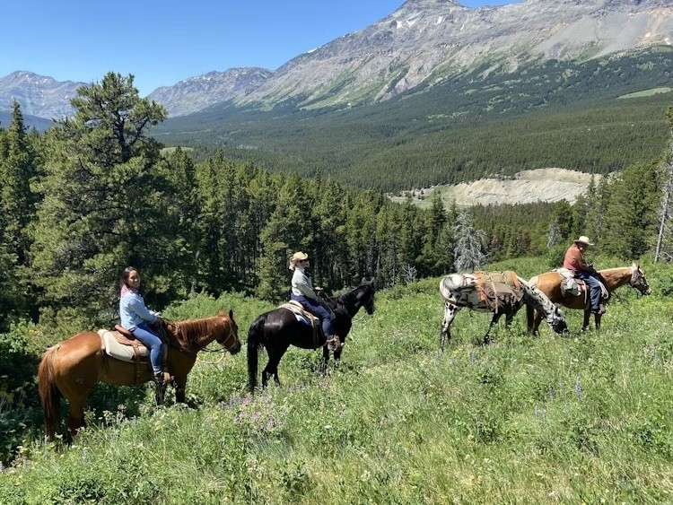 Mensen rijden paard in de bergen