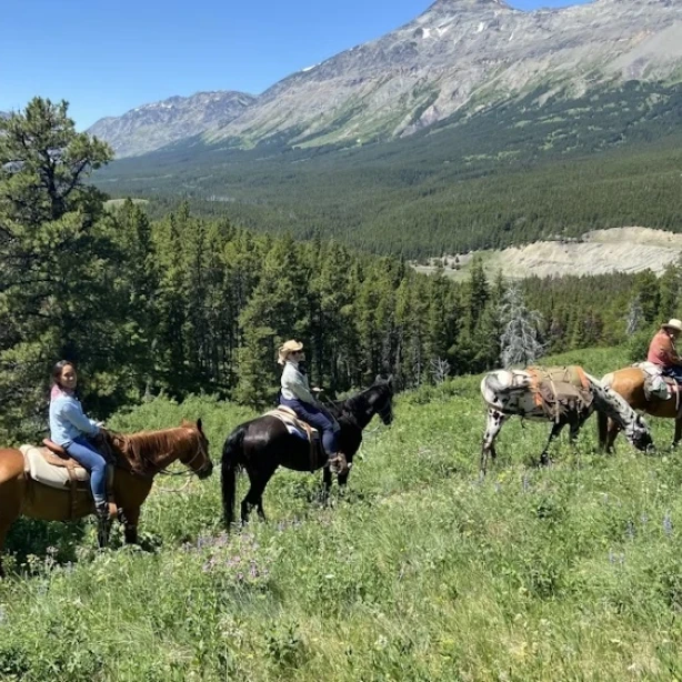 Mensen rijden paard in de bergen