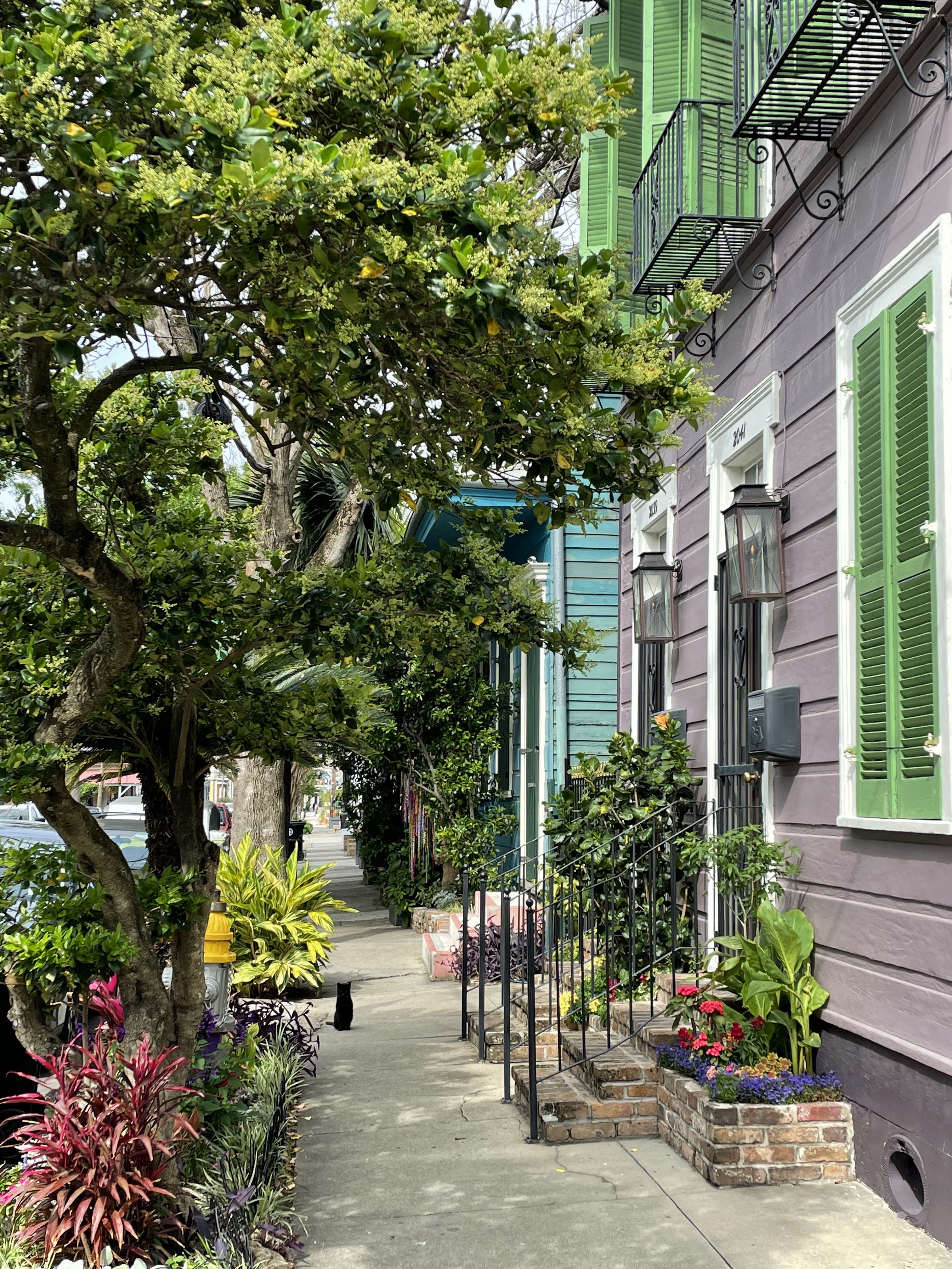 US Louisiana New Orleans cute street