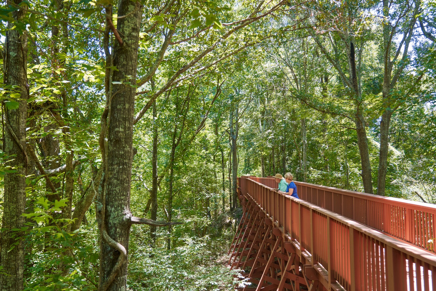US Louisiana Walking Trail