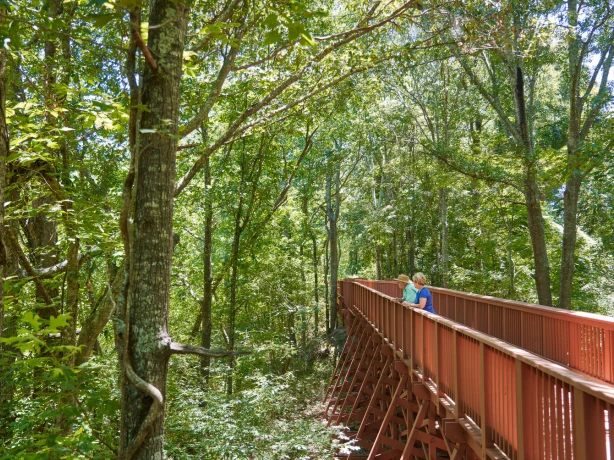 US Louisiana Walking Trail