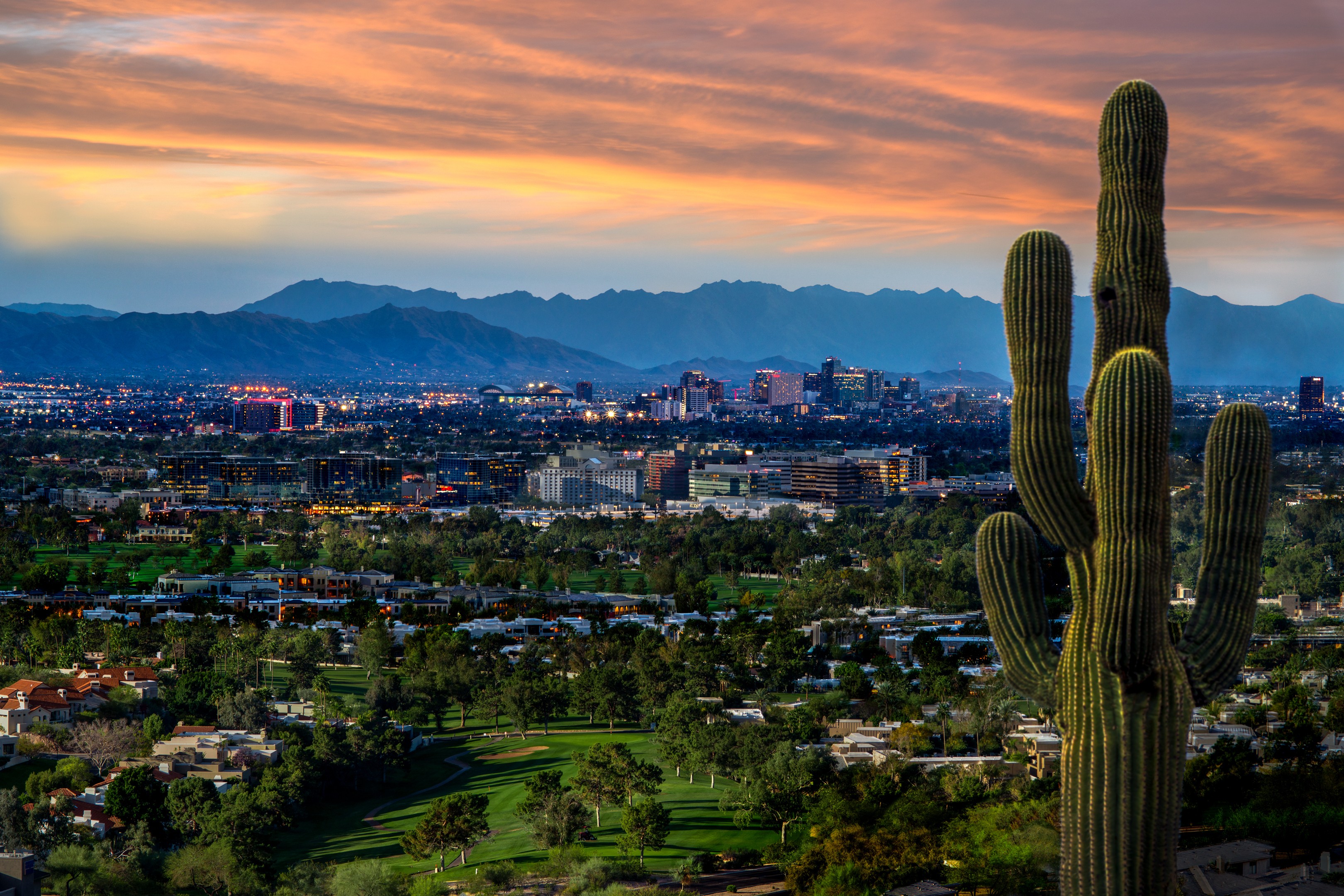 Photos phoenix az Downtown Phoenix Skyline from Phoenix Mountains Preserve