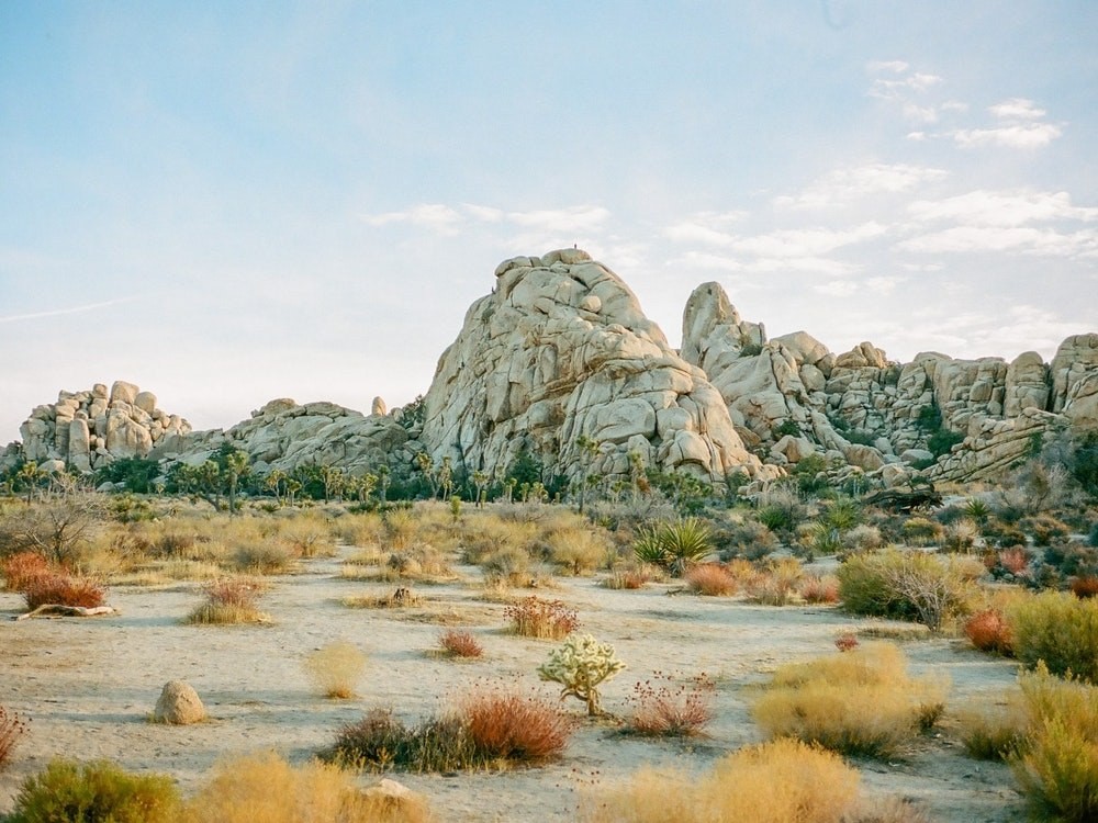 USA california Joshua Tree rocks