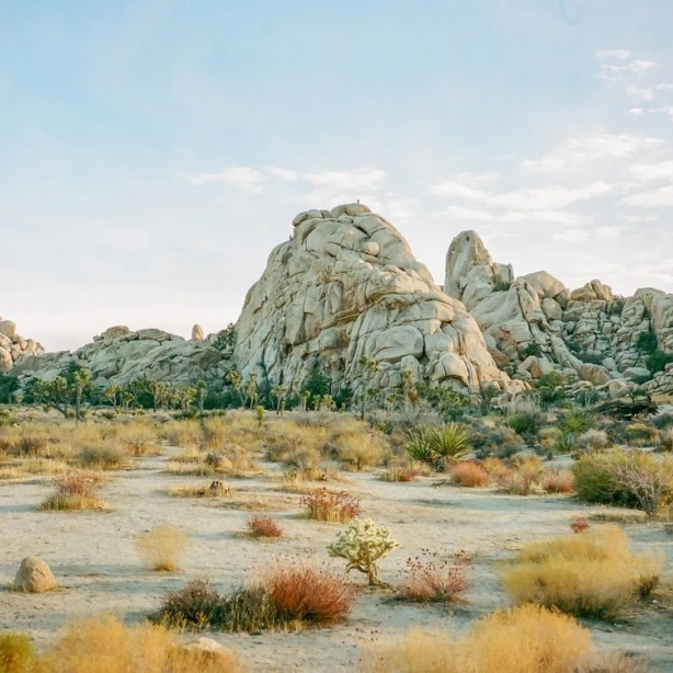 USA california Joshua Tree rocks