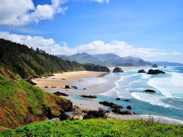 Een weids uitzicht op de ruige kustlijn van de Verenigde Staten, met zandstranden, rotsachtige zeebergen en beboste heuvels onder een helderblauwe hemel.