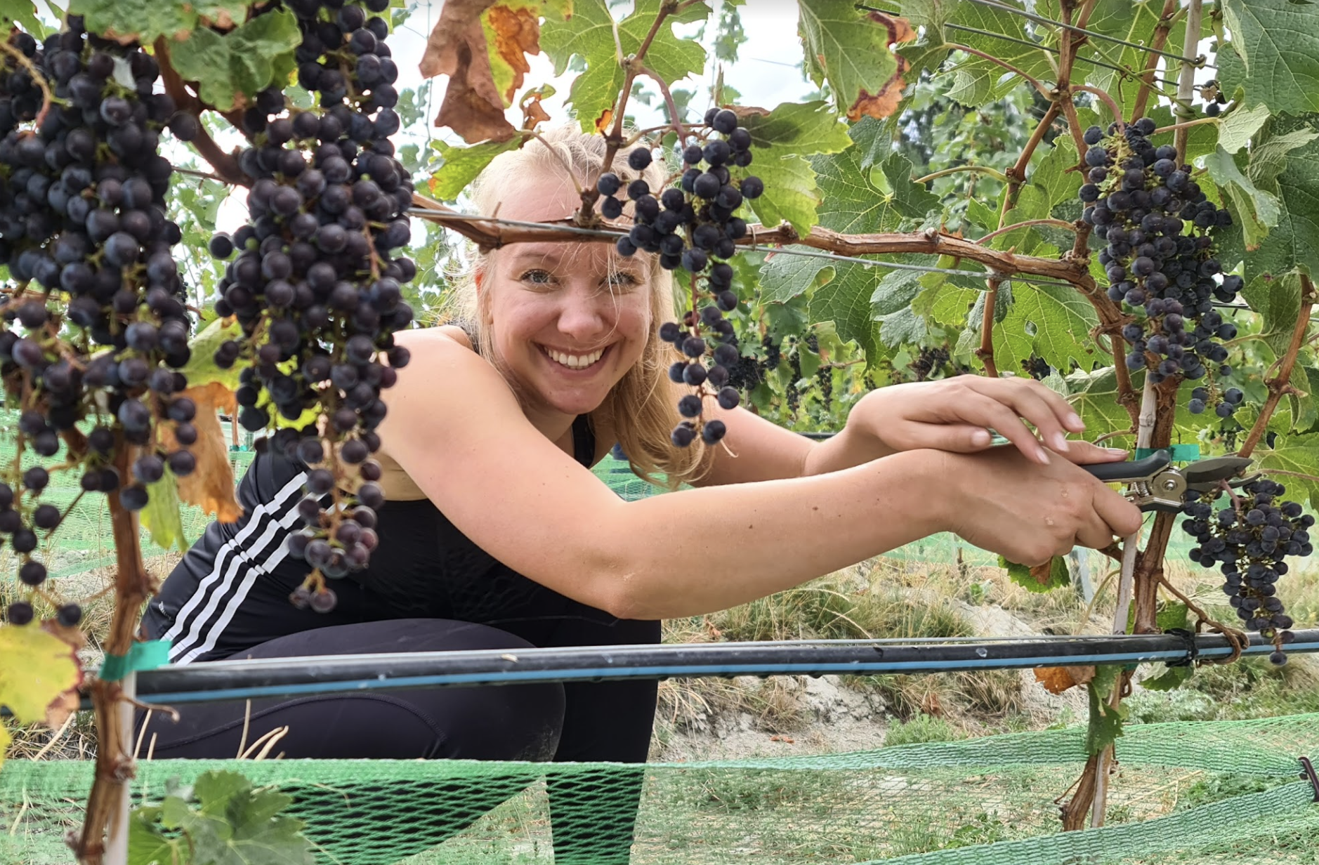 Okanagan valley canada