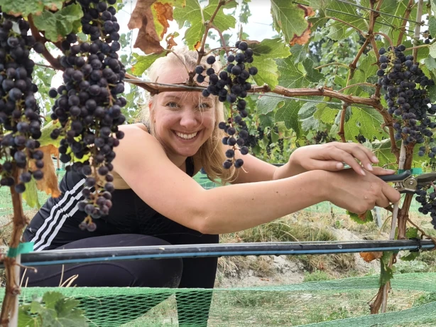 Okanagan valley canada