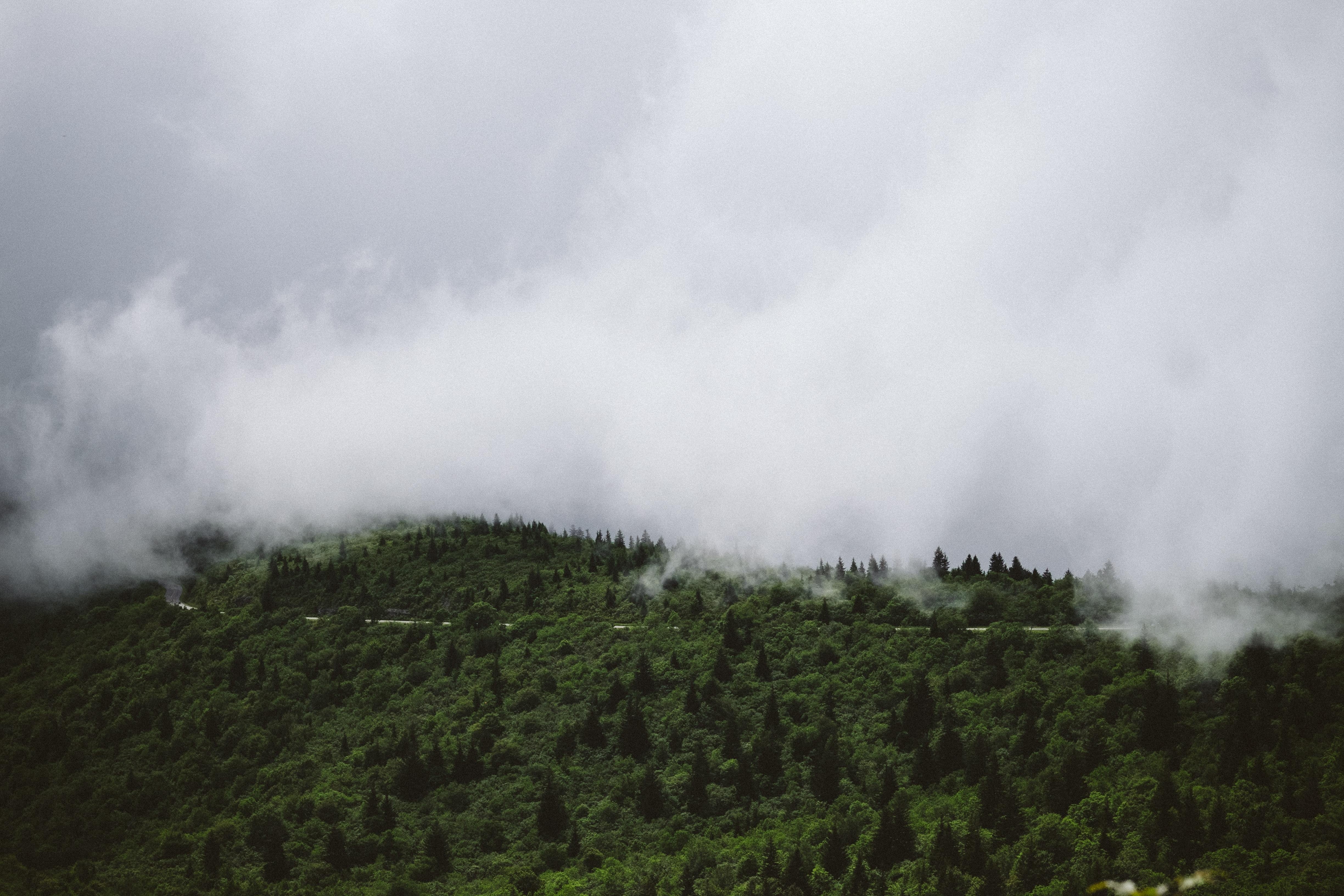 USA North Carolina smoky mountains chris abney unsplash