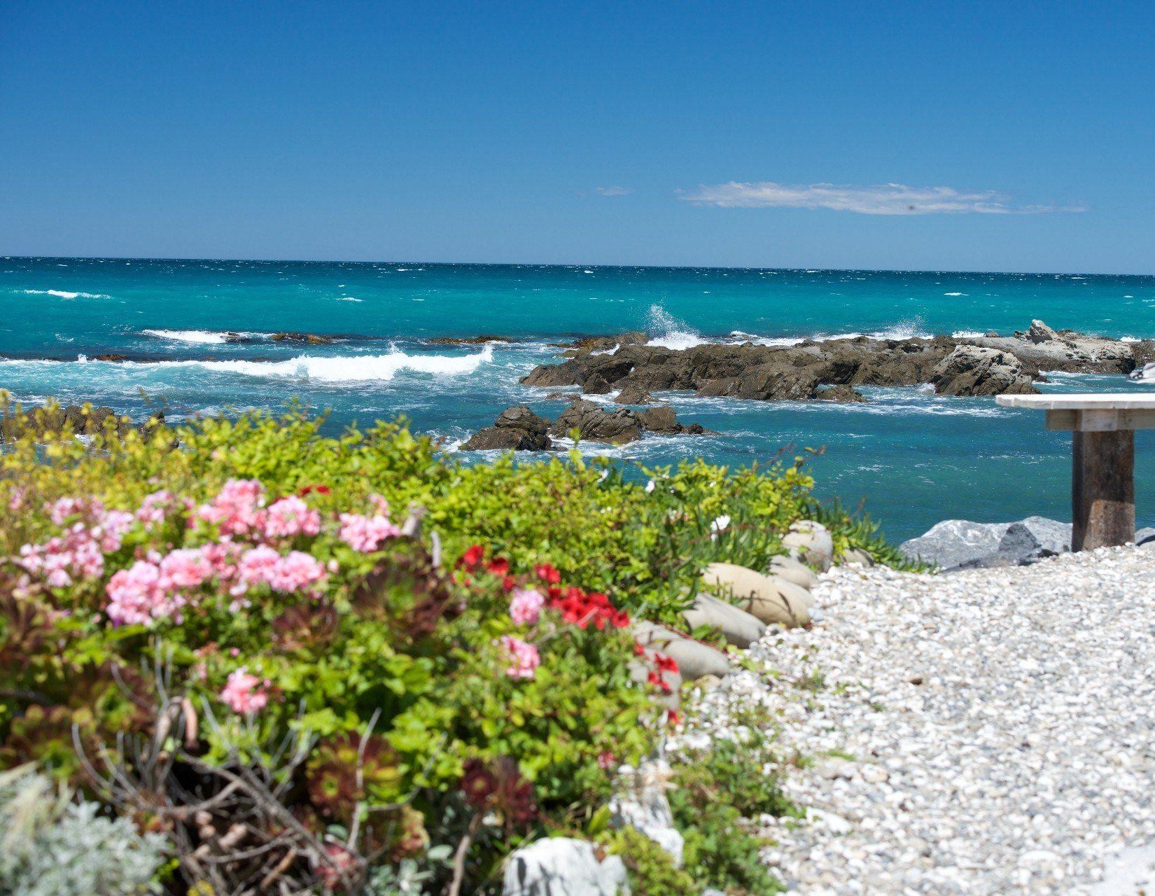 Uitzicht op Kaikoura Beach met rotsen en bloemen, Nieuw-Zeeland