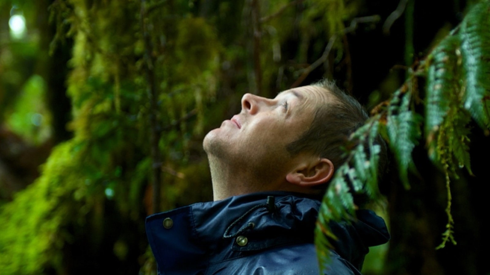 Andrew Morten kijkt omhoog, omringd door bomen