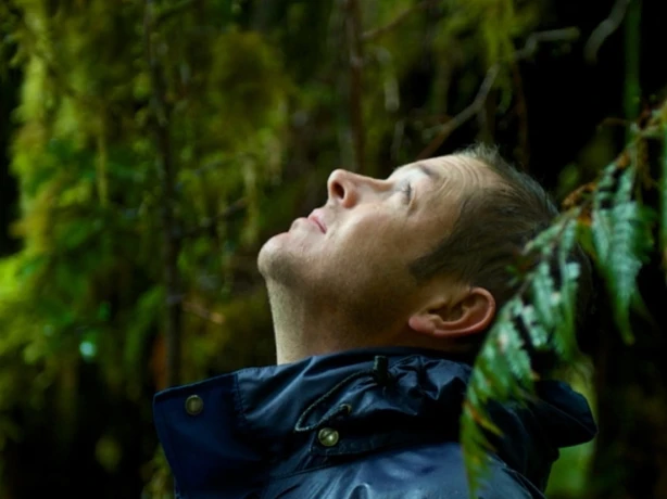 Andrew Morten kijkt omhoog, omringd door bomen