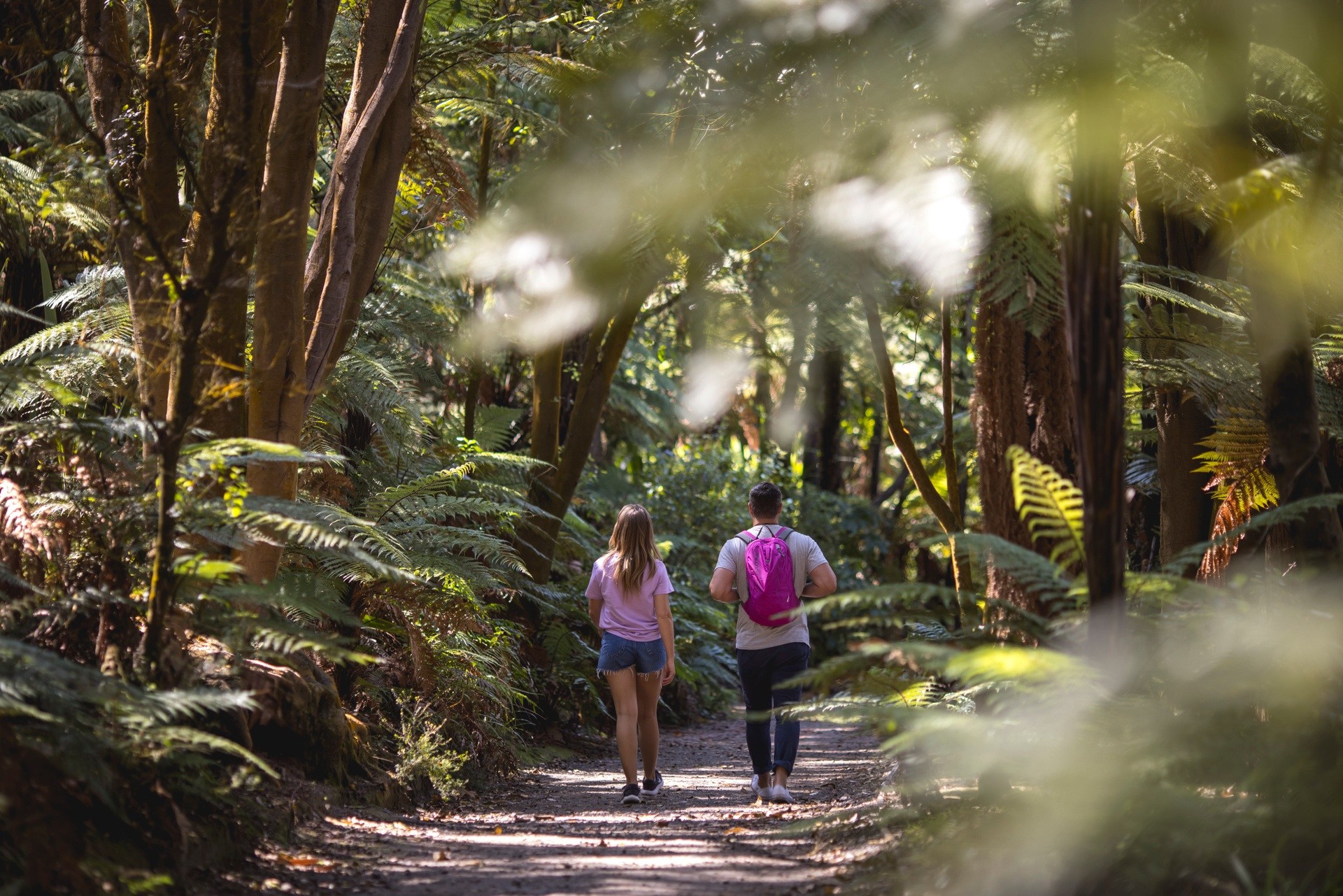 Echtpaar wandelt door het bos van Rotorua in de baai van overvloed, Nieuw-Zeeland