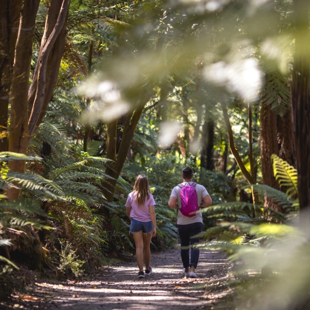 Echtpaar wandelt door het bos van Rotorua in de baai van overvloed, Nieuw-Zeeland
