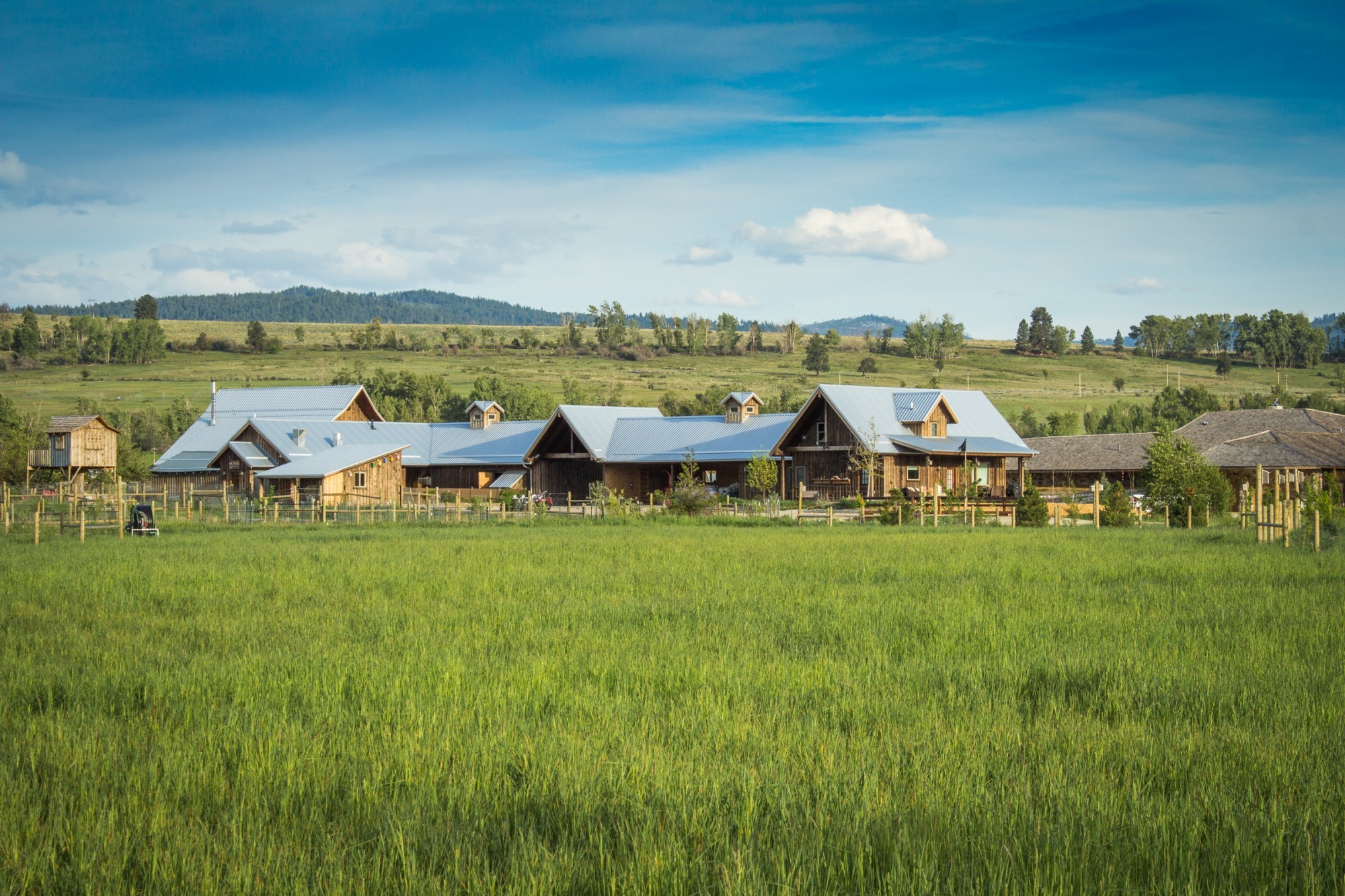Boerderijaccommodatie in Bitterroot Valley, Montana, VS, met houten schuurgebouwen achter weelderige groene weiden en glooiende beboste heuvels onder een blauwe lucht.