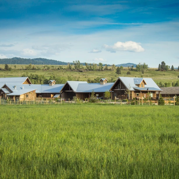 Boerderijaccommodatie in Bitterroot Valley, Montana, VS, met houten schuurgebouwen achter weelderige groene weiden en glooiende beboste heuvels onder een blauwe lucht.