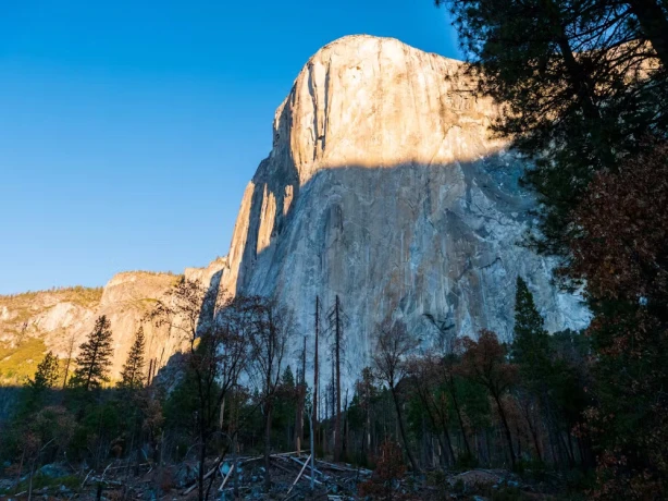 Usa california yosemite national park scenery