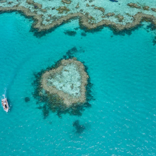 Een boot vaart rond Heart Reef Island in de Whitsundays, Australië