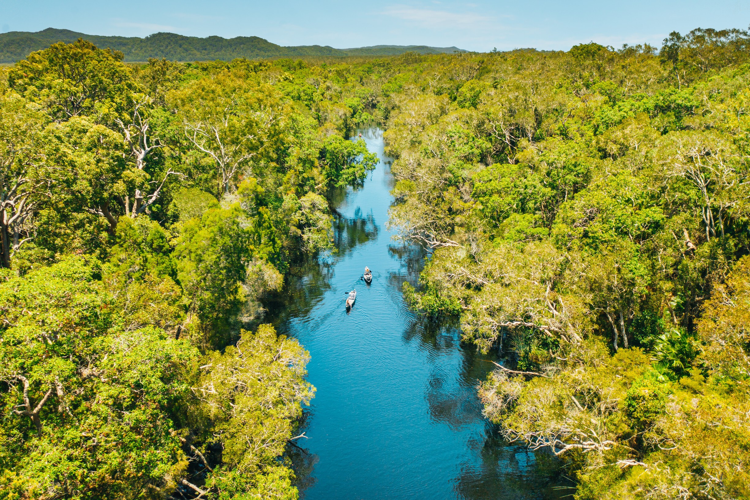 Kajakkers peddelen door de Noosa Everglades in Queensland, Australië