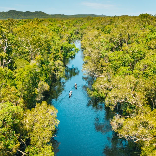 Kajakkers peddelen door de Noosa Everglades in Queensland, Australië