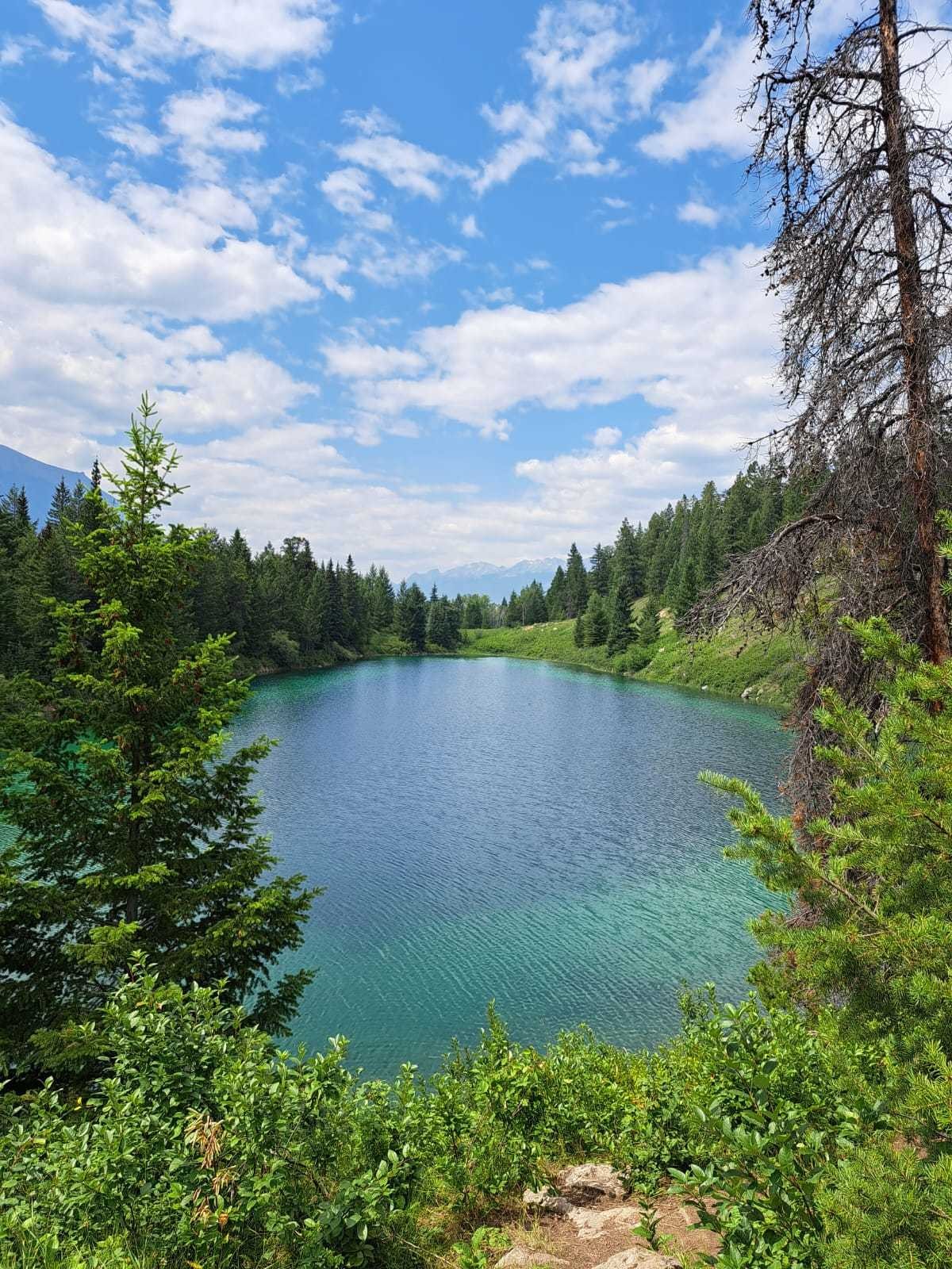 251d4f03 6edf 45be 82a3 eb2607e8a663