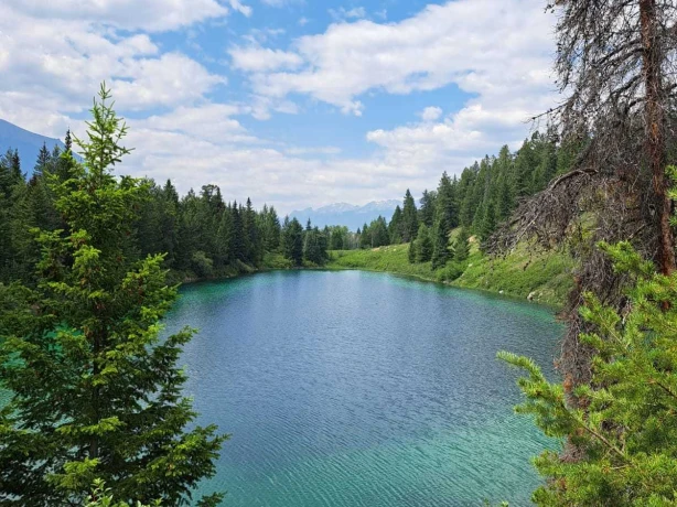 251d4f03 6edf 45be 82a3 eb2607e8a663