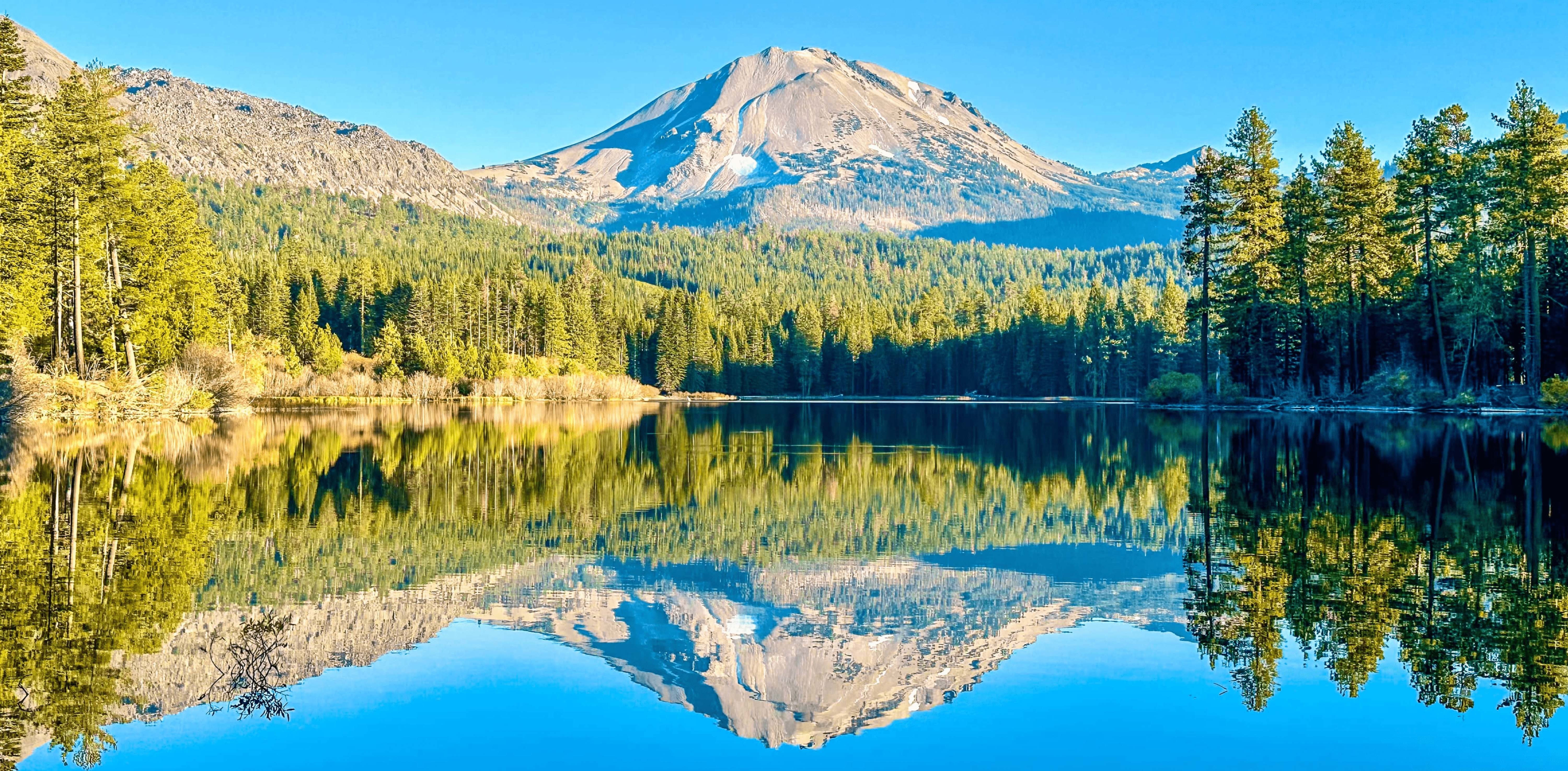 7278d1c2 e450 459c b13a a8fdb988e64b