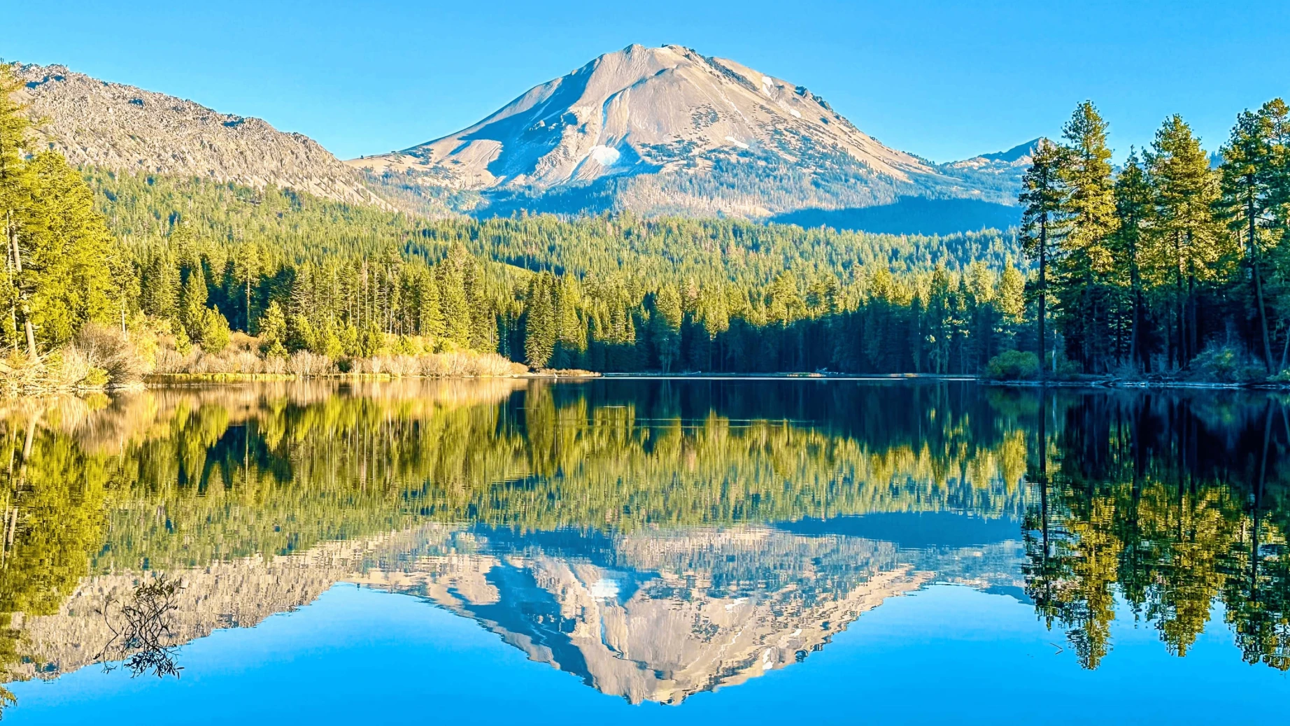 7278d1c2 e450 459c b13a a8fdb988e64b